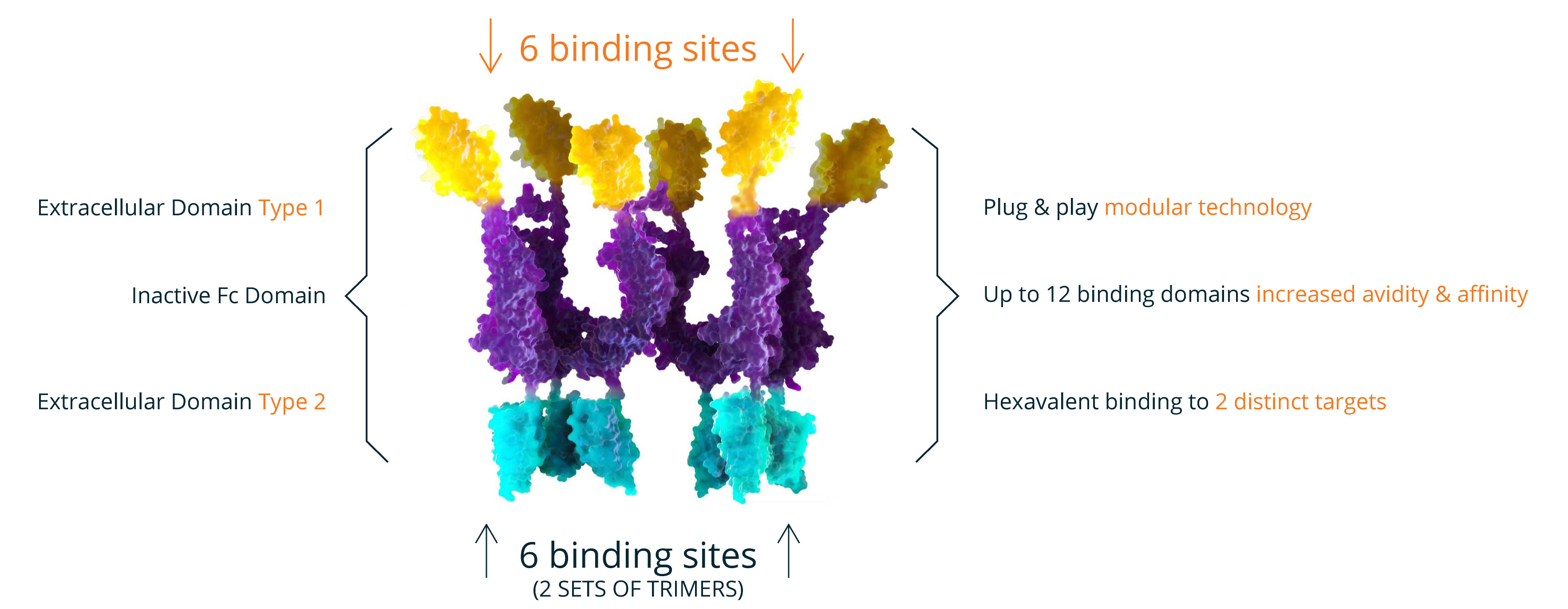 ARC platform representation