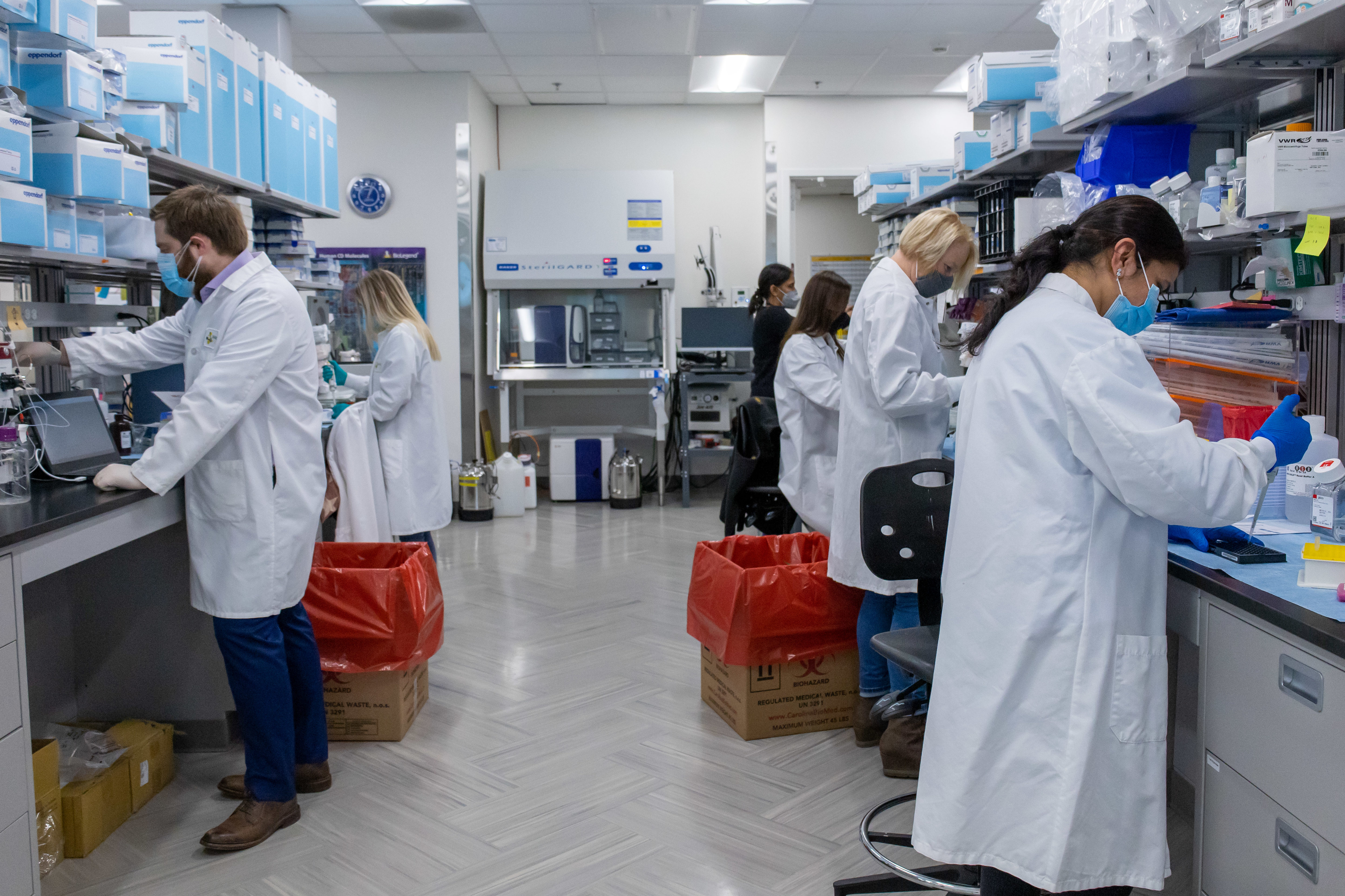 Shattuck Lab scientists at work